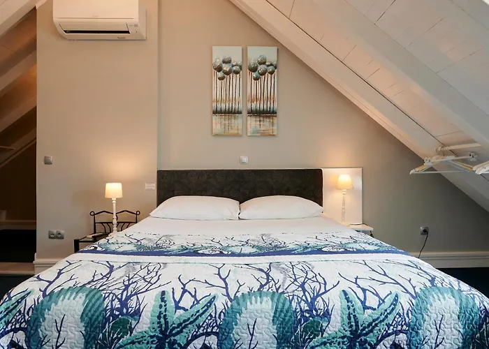 Affittacamere Palace Square 3*